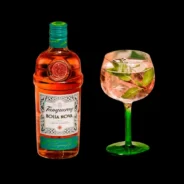 Tanqueray Sabores (Bossa Nova, Sevilla, Royal)