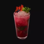 Berry Berry Mojo