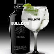 Bulldog